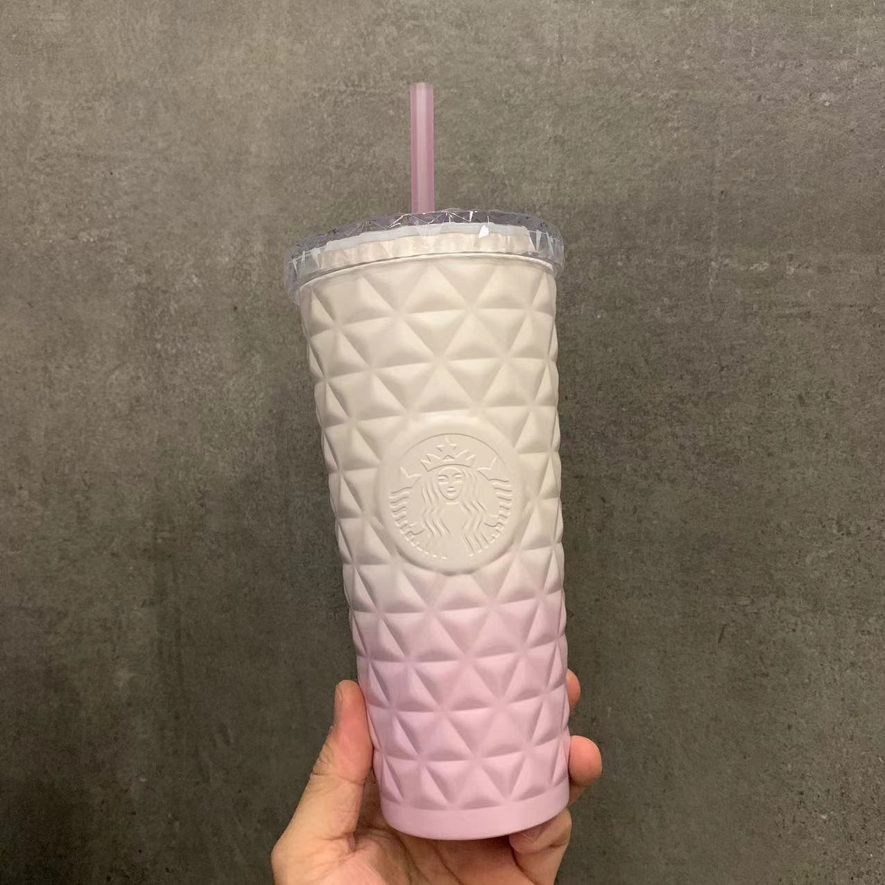 20oz Sakura Pink Gradient Stainless Dion