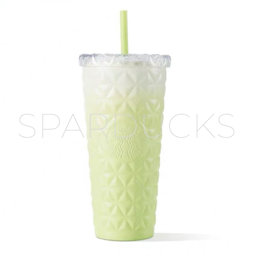20oz China Green Ombre SS Dion