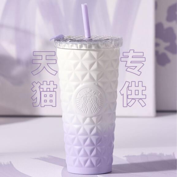 20oz China Gradient Purple SS Dion
