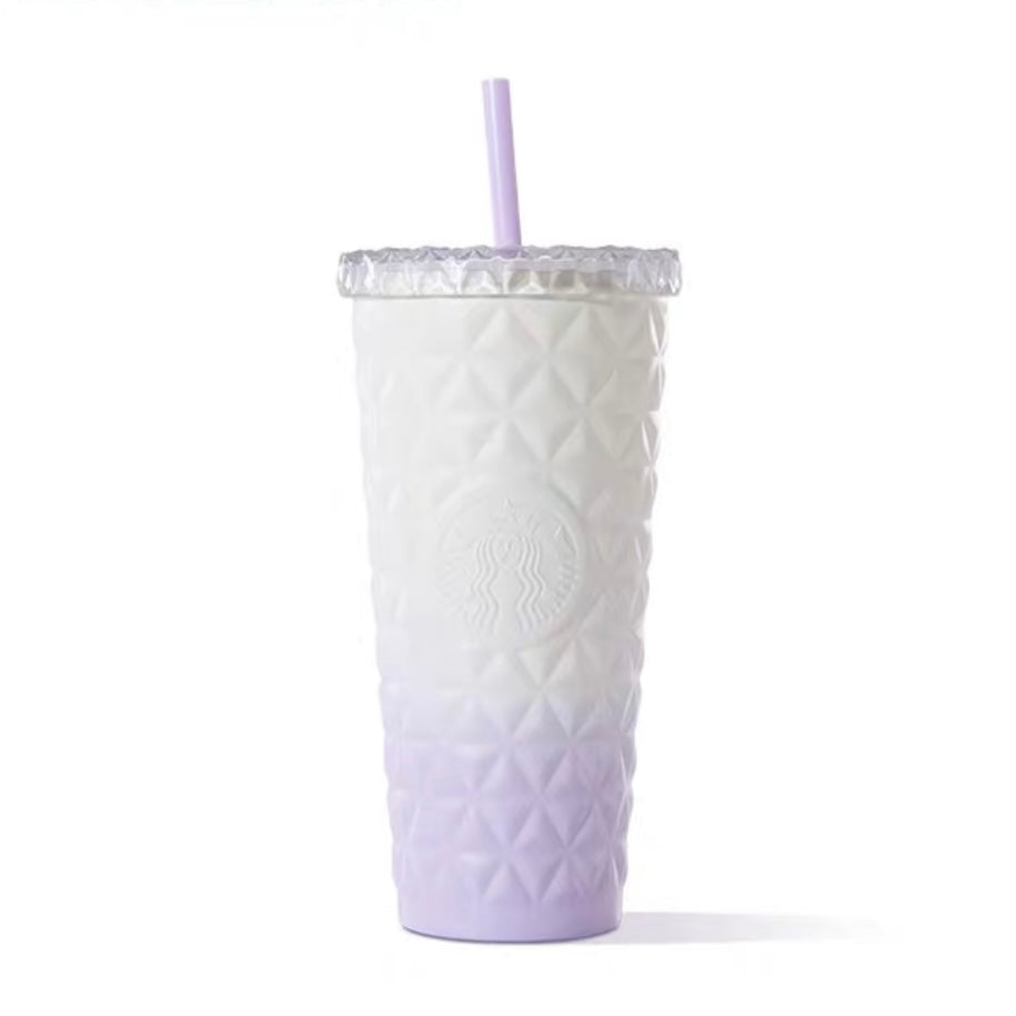 20oz China Gradient Purple SS Dion