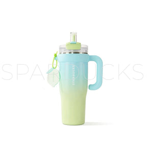 43oz Lemon Blue Green Stainless Cold Cup