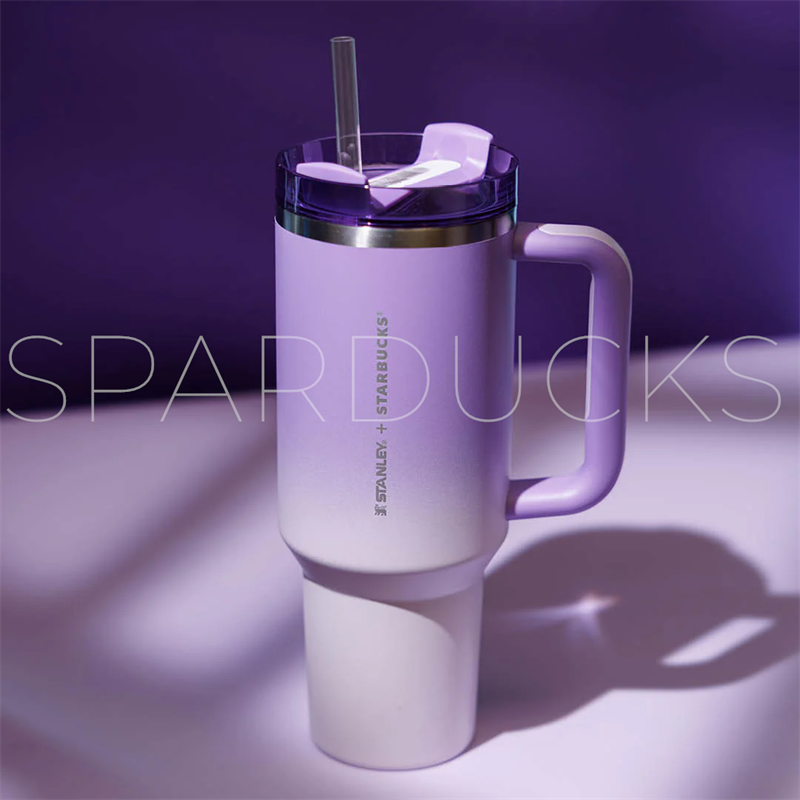 40oz HK Halloween Purple Mauve Stanley