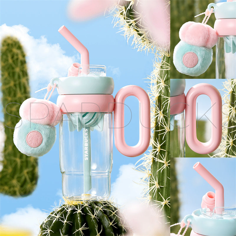 2024 China Summer Succulent Series <31st May 2024>