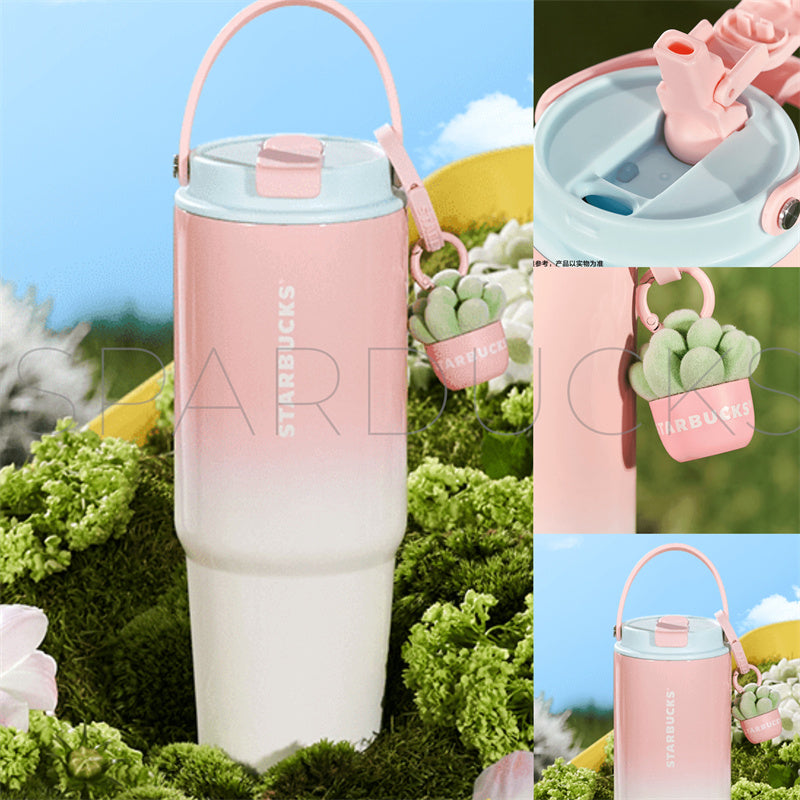 succulent starbucks cup 2024 China Summer Succulent Series <31st May 2024> – SPARDUCKS